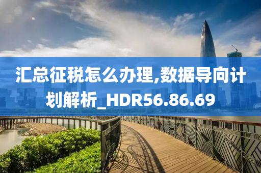 汇总征税怎么办理,数据导向计划解析_HDR56.86.69