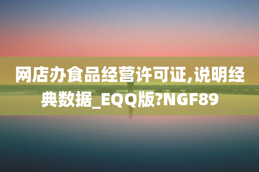 网店办食品经营许可证,说明经典数据_EQQ版?NGF89