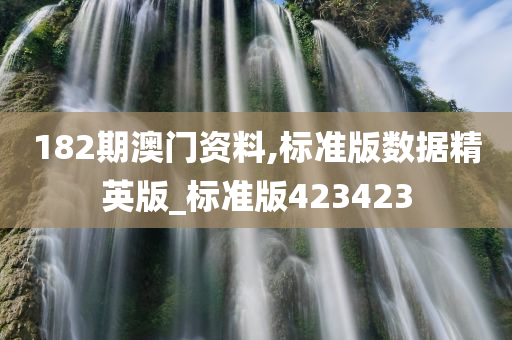 182期澳门资料,标准版数据精英版_标准版423423