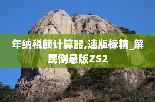 年纳税额计算器,速版标精_解民倒悬版ZS2