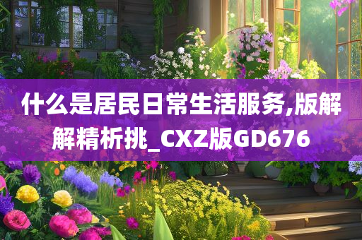 什么是居民日常生活服务,版解解精析挑_CXZ版GD676