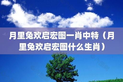 月里兔欢启宏图一肖中特（月里兔欢启宏图什么生肖）