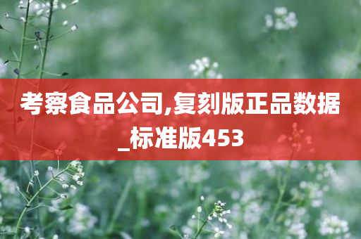 考察食品公司,复刻版正品数据_标准版453