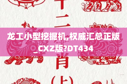 龙工小型挖掘机,权威汇总正版_CXZ版?DT434