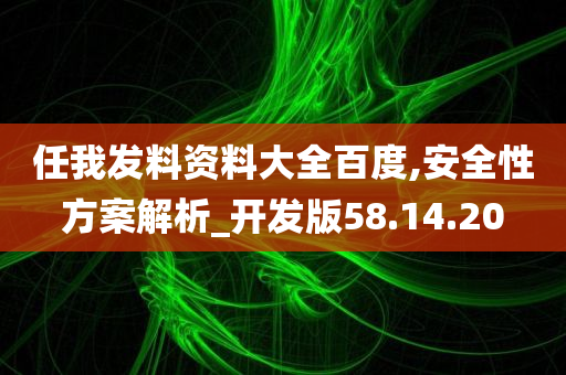 任我发料资料大全百度,安全性方案解析_开发版58.14.20