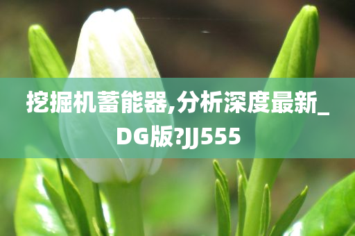 挖掘机蓄能器,分析深度最新_DG版?JJ555