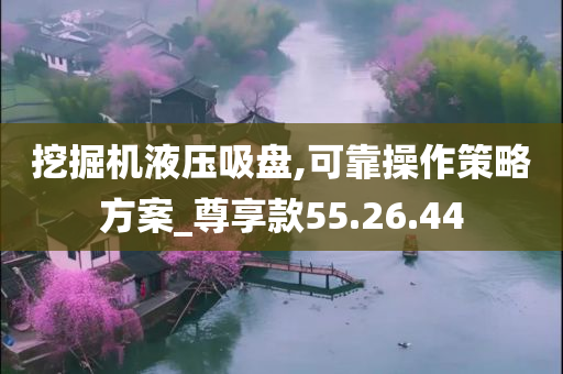 挖掘机液压吸盘,可靠操作策略方案_尊享款55.26.44