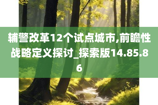 辅警改革12个试点城市,前瞻性战略定义探讨_探索版14.85.86