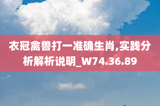 衣冠禽兽打一准确生肖,实践分析解析说明_W74.36.89