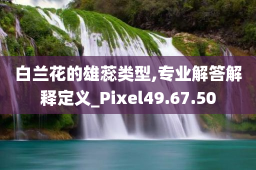 白兰花的雄蕊类型,专业解答解释定义_Pixel49.67.50