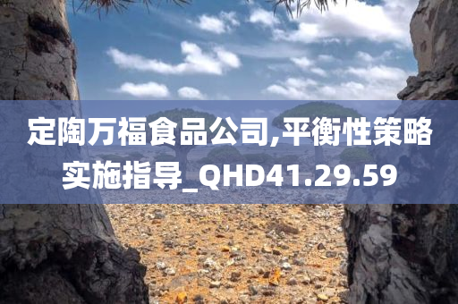 定陶万福食品公司,平衡性策略实施指导_QHD41.29.59