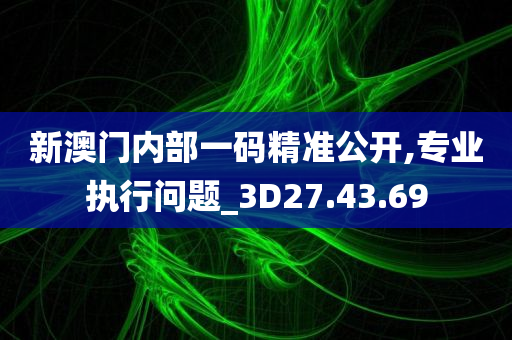 新澳门内部一码精准公开,专业执行问题_3D27.43.69