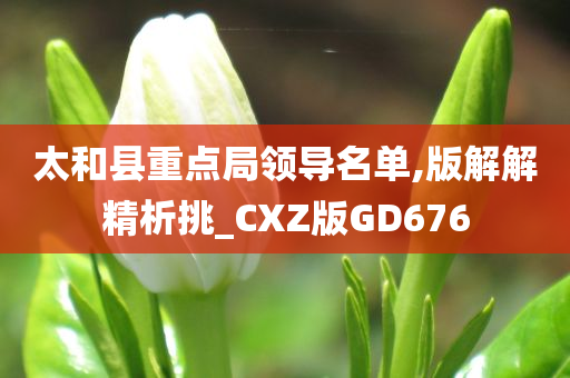 太和县重点局领导名单,版解解精析挑_CXZ版GD676