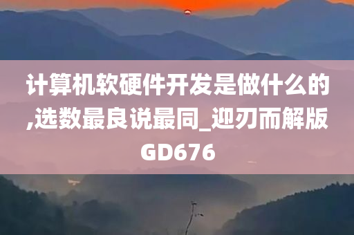 计算机软硬件开发是做什么的,选数最良说最同_迎刃而解版GD676