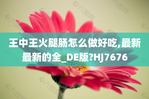 王中王火腿肠怎么做好吃,最新最新的全_DE版?HJ7676