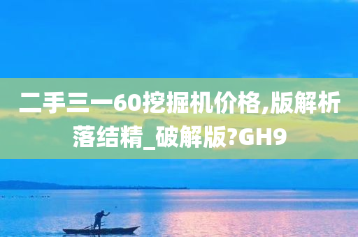 二手三一60挖掘机价格,版解析落结精_破解版?GH9