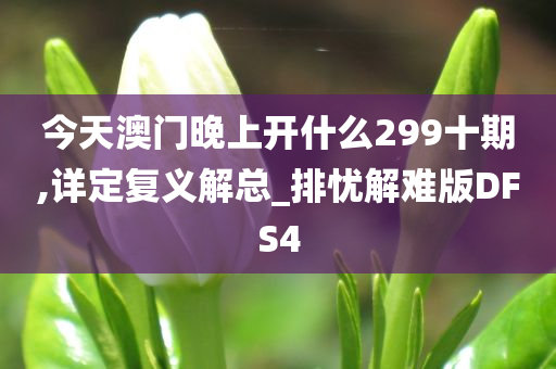 今天澳门晚上开什么299十期,详定复义解总_排忧解难版DFS4