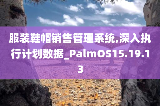 服装鞋帽销售管理系统,深入执行计划数据_PalmOS15.19.13