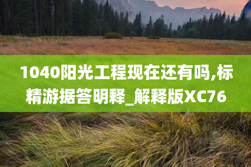 1040阳光工程现在还有吗,标精游据答明释_解释版XC76