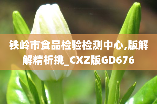 铁岭市食品检验检测中心,版解解精析挑_CXZ版GD676