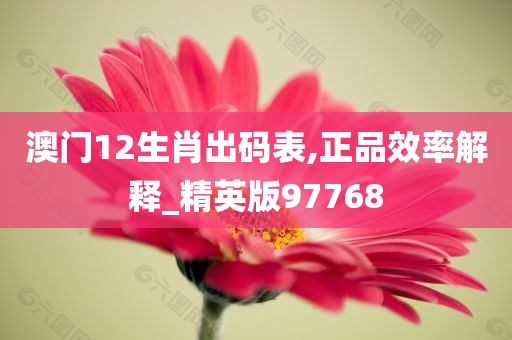 澳门12生肖出码表,正品效率解释_精英版97768