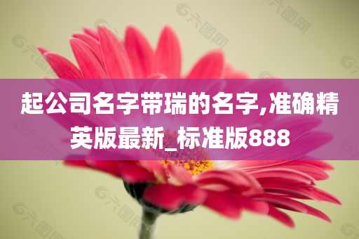 起公司名字带瑞的名字,准确精英版最新_标准版888