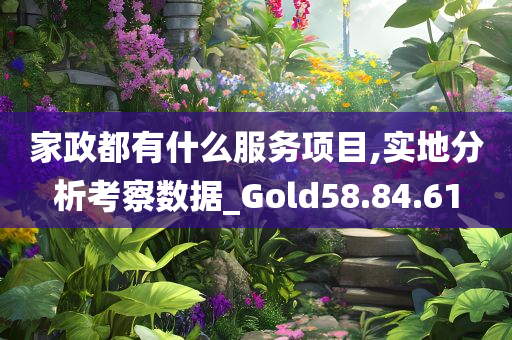 家政都有什么服务项目,实地分析考察数据_Gold58.84.61