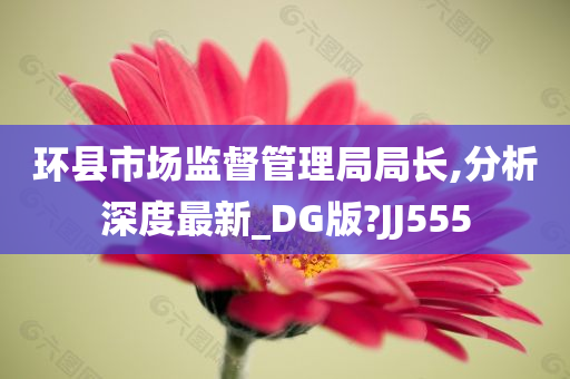 环县市场监督管理局局长,分析深度最新_DG版?JJ555