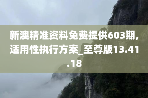 新澳精准资料免费提供603期,适用性执行方案_至尊版13.41.18