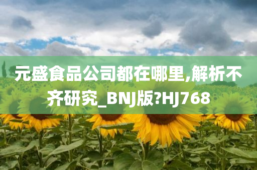 元盛食品公司都在哪里,解析不齐研究_BNJ版?HJ768