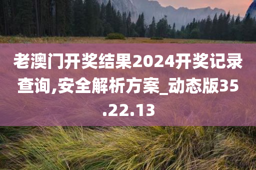 老澳门开奖结果2024开奖记录查询,安全解析方案_动态版35.22.13