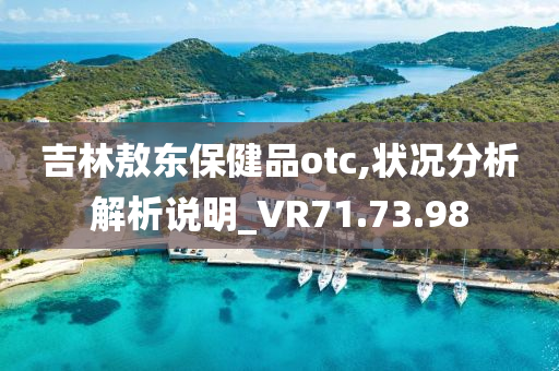 吉林敖东保健品otc,状况分析解析说明_VR71.73.98