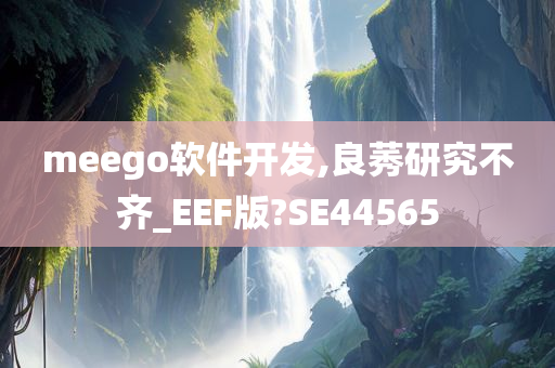 meego软件开发,良莠研究不齐_EEF版?SE44565