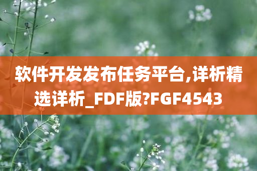 软件开发发布任务平台,详析精选详析_FDF版?FGF4543