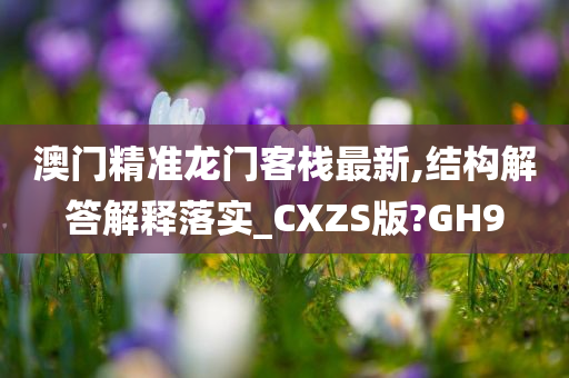 澳门精准龙门客栈最新,结构解答解释落实_CXZS版?GH9