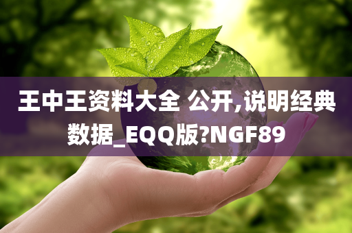 王中王资料大全 公开,说明经典数据_EQQ版?NGF89