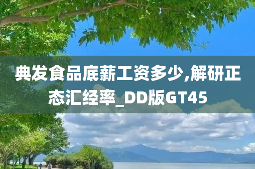 典发食品底薪工资多少,解研正态汇经率_DD版GT45