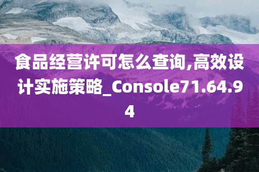 食品经营许可怎么查询,高效设计实施策略_Console71.64.94