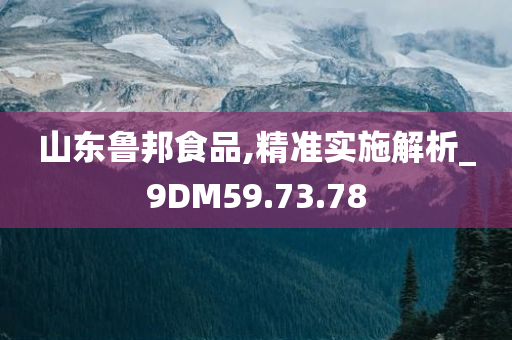 山东鲁邦食品,精准实施解析_9DM59.73.78