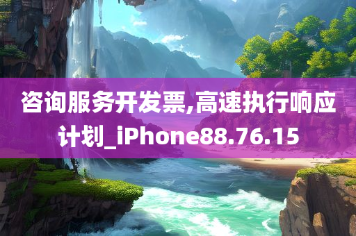 咨询服务开发票,高速执行响应计划_iPhone88.76.15