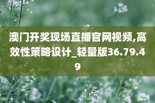 澳门开奖现场直播官网视频,高效性策略设计_轻量版36.79.49