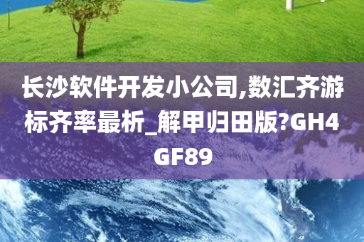 长沙软件开发小公司,数汇齐游标齐率最析_解甲归田版?GH4GF89