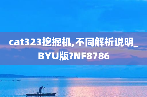 cat323挖掘机,不同解析说明_BYU版?NF8786