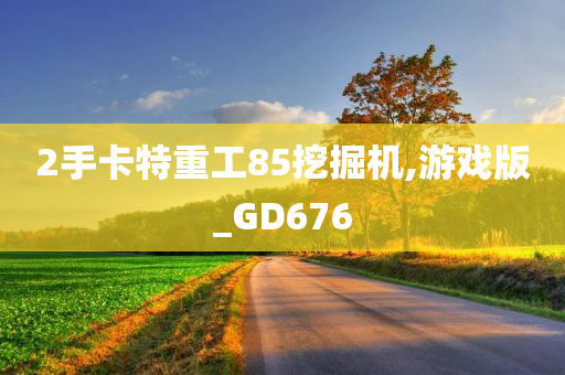 2手卡特重工85挖掘机,游戏版_GD676