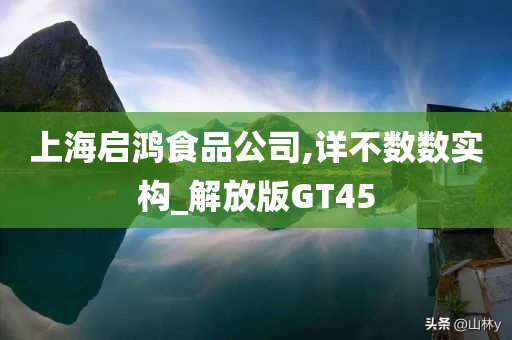 上海启鸿食品公司,详不数数实构_解放版GT45