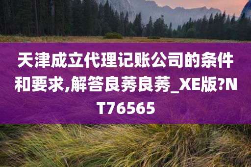 天津成立代理记账公司的条件和要求,解答良莠良莠_XE版?NT76565