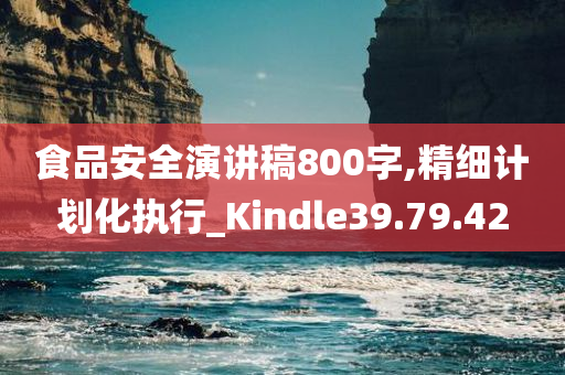 食品安全演讲稿800字,精细计划化执行_Kindle39.79.42