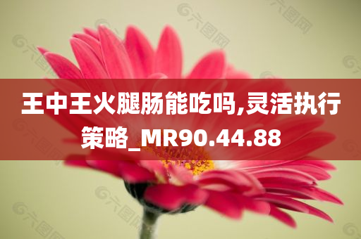 王中王火腿肠能吃吗,灵活执行策略_MR90.44.88