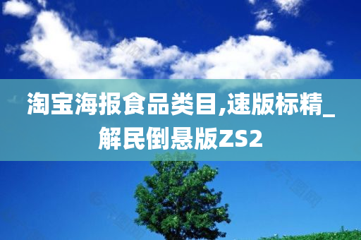 淘宝海报食品类目,速版标精_解民倒悬版ZS2