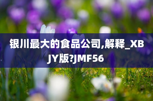 银川最大的食品公司,解释_XBJY版?JMF56